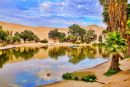 Oasis of Huacachina in the Morning, Peru