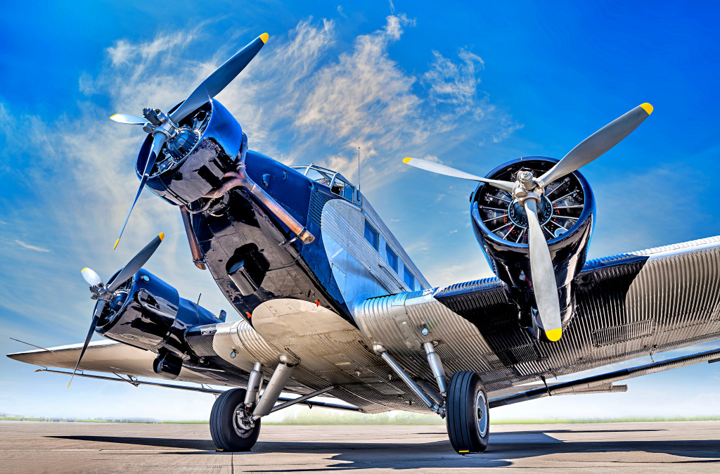 Avions historiques à l’aérodrome jigsaw puzzle in Aviation puzzles on TheJigsawPuzzles.com