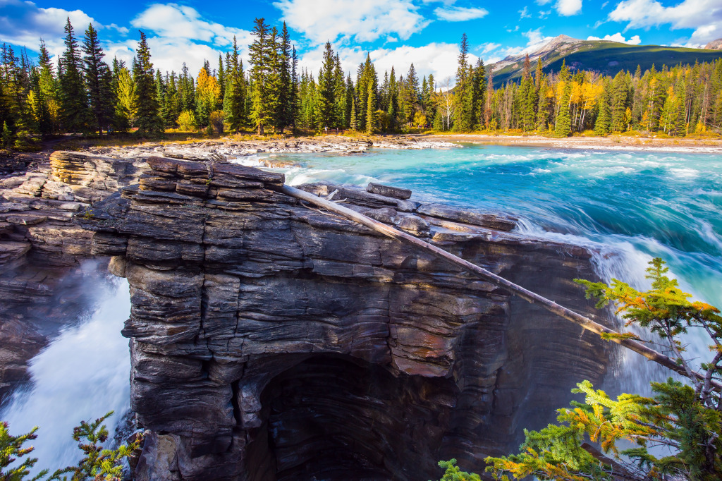 Poderosas Cataratas Athabasca no Parque Nacional Jasper, AB, Canadá jigsaw puzzle in Cachoeiras puzzles on TheJigsawPuzzles.com