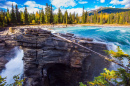 Powerful Athabasca Falls in Jasper NP, AB, Canada