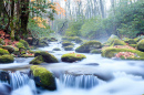 Great Smoky Mountains National Park, USA