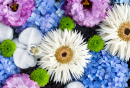 Beautiful Flowers Floating on Water