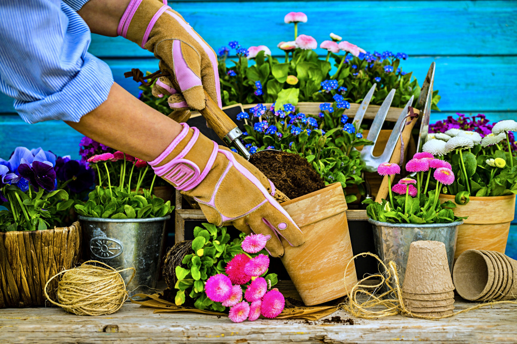 Jardinagem jigsaw puzzle in Flores puzzles on TheJigsawPuzzles.com