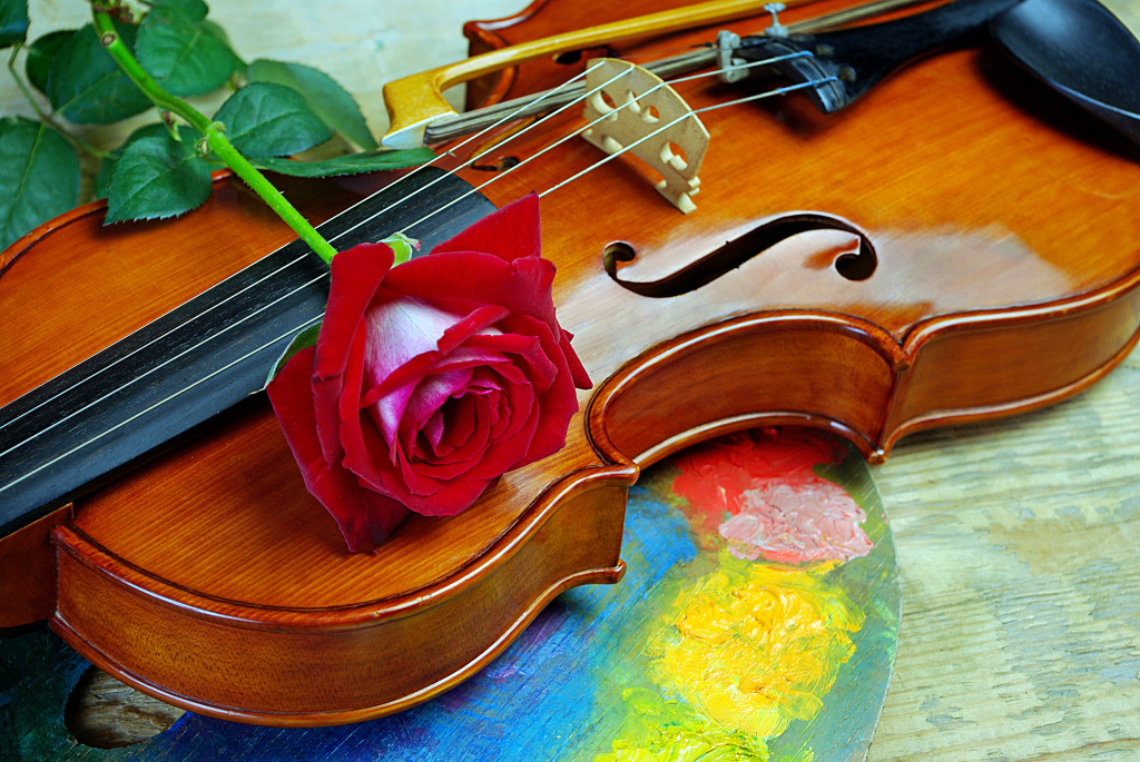 Композиция с использованием скрипки и красной розы jigsaw puzzle in Цветы puzzles on TheJigsawPuzzles.com