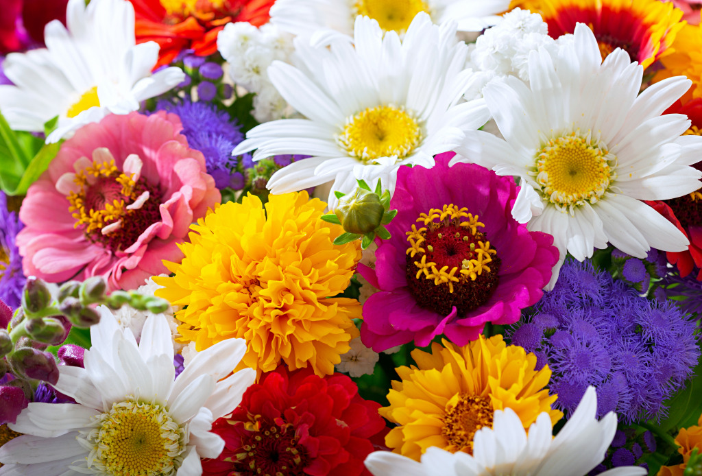 Nahaufnahme der Sommerblumen jigsaw puzzle in Puzzle des Tages puzzles on TheJigsawPuzzles.com