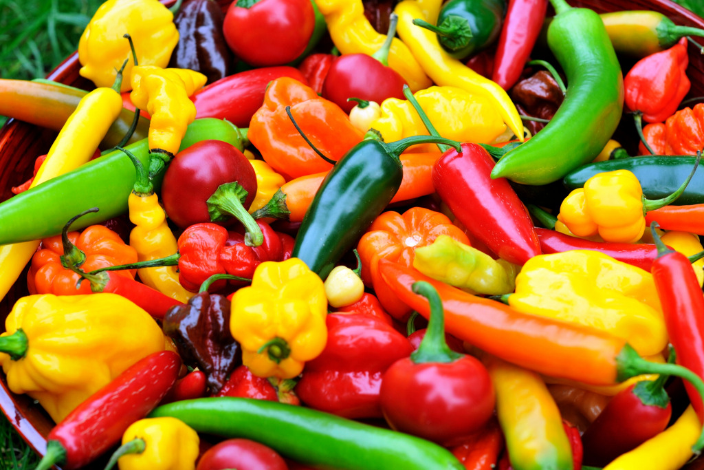 Bunte Chili-Mischung jigsaw puzzle in Obst & Gemüse puzzles on TheJigsawPuzzles.com