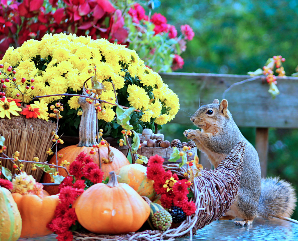 Fall Scene with a Fox Squirrel jigsaw puzzle in Animals puzzles on TheJigsawPuzzles.com