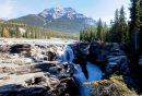 Athabasca Falls in Jasper National Park
