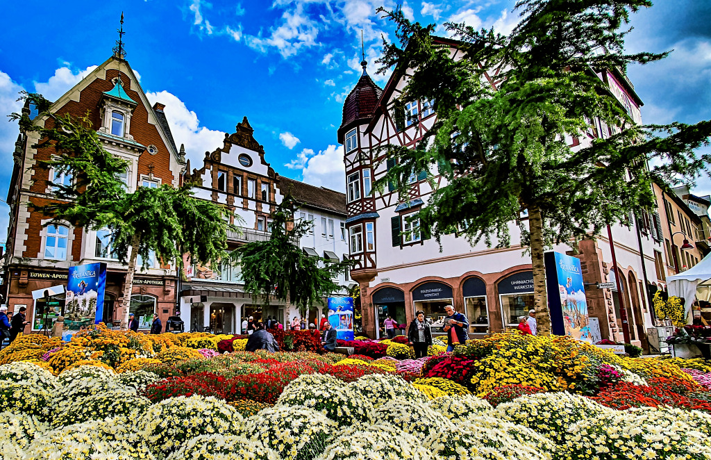 Festival du Chrysanthème à Lahr, Allemagne jigsaw puzzle in Paysages urbains puzzles on TheJigsawPuzzles.com