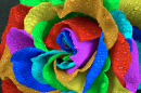 Macro of a Rainbow Rose