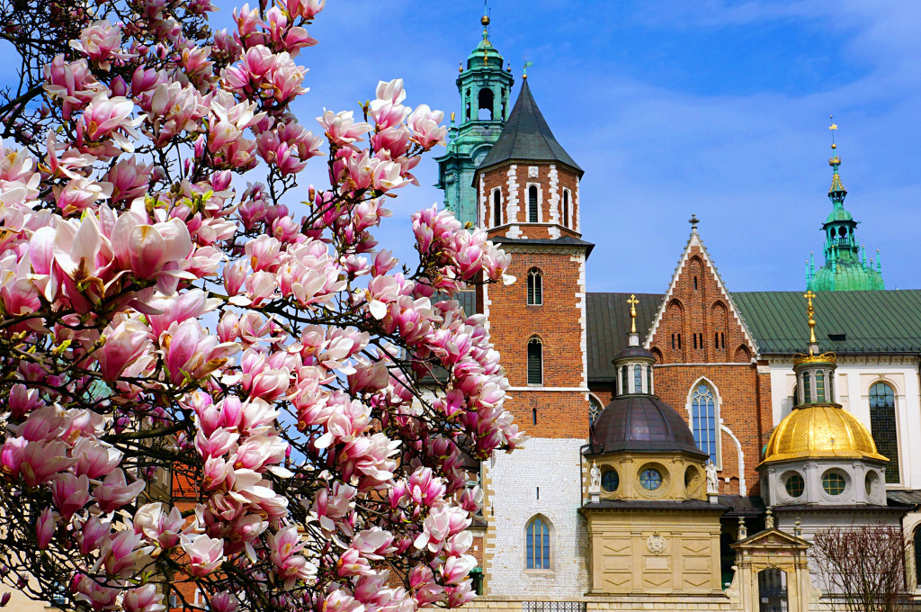 Краковский замок в солнечный весенний день jigsaw puzzle in Замки puzzles on TheJigsawPuzzles.com