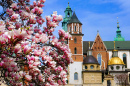Kraków Castle on a Sunny Spring Day