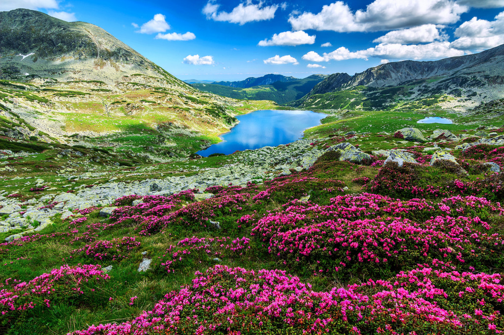 Retezat National Park, Carpathians, Romania jigsaw puzzle in Great Sightings puzzles on TheJigsawPuzzles.com