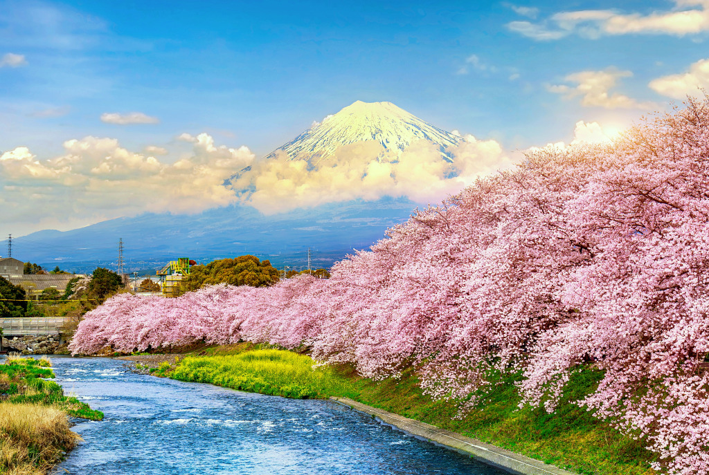 Mount Fuji and Cherry Blossoms at Sunset jigsaw puzzle in Great Sightings puzzles on TheJigsawPuzzles.com