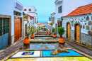 Firgas, Gran Canaria, Spain