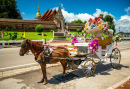 Horse-Drawn Carriage Tour in Lampang, Thailand