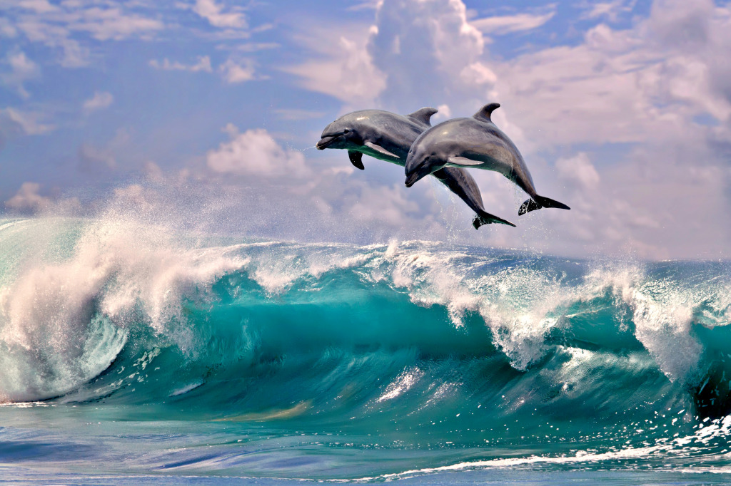 Deux dauphins sautant par-dessus les vagues de l’océan jigsaw puzzle in Sous les mers puzzles on TheJigsawPuzzles.com