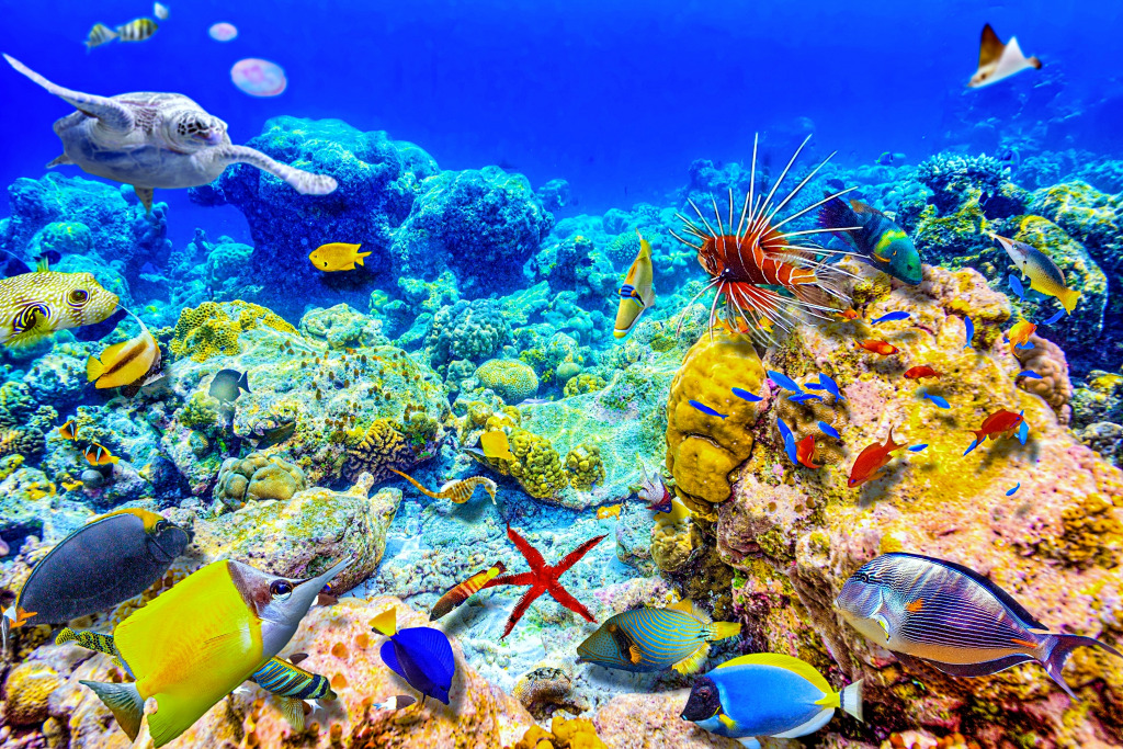 Le magnifique monde sous-marin des Maldives jigsaw puzzle in Sous les mers puzzles on TheJigsawPuzzles.com