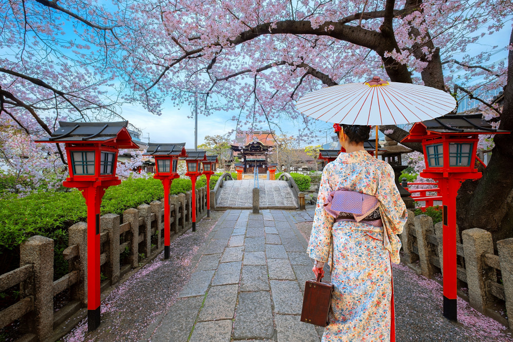 Kirschblütenzeit in Kyoto, Japan jigsaw puzzle in Großartige Landschaften puzzles on TheJigsawPuzzles.com