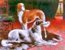 Two Greyhounds