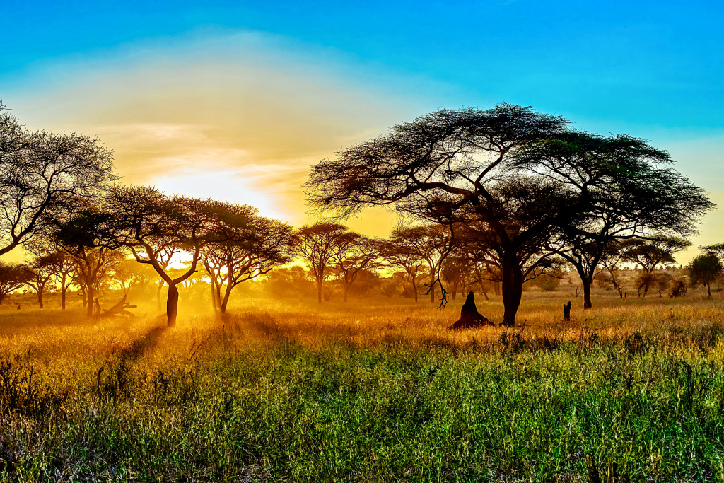 Wunderschöner Sonnenuntergang in der Savanne jigsaw puzzle in Großartige Landschaften puzzles on TheJigsawPuzzles.com