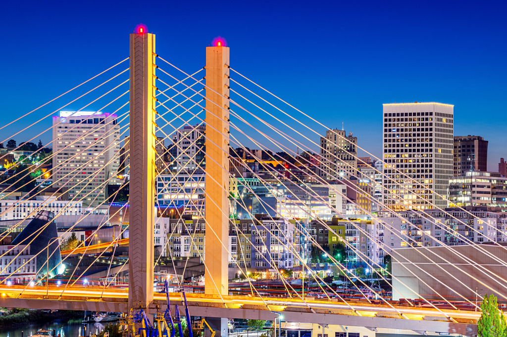 Night Cityscape of Tacoma, Washington, USA jigsaw puzzle in Bridges puzzles on TheJigsawPuzzles.com