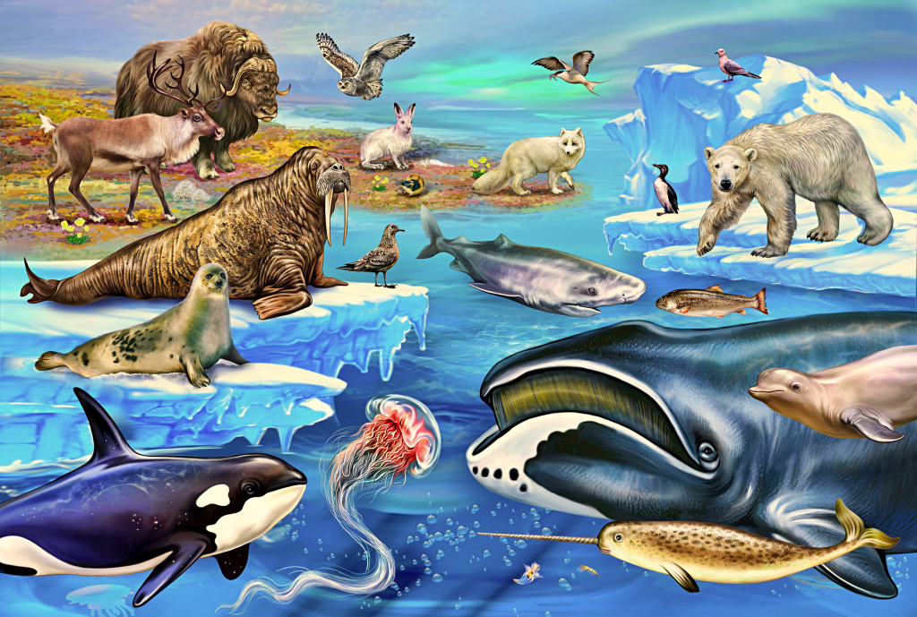 Фауна тундры и Северного Ледовитого океана jigsaw puzzle in Животные puzzles on TheJigsawPuzzles.com