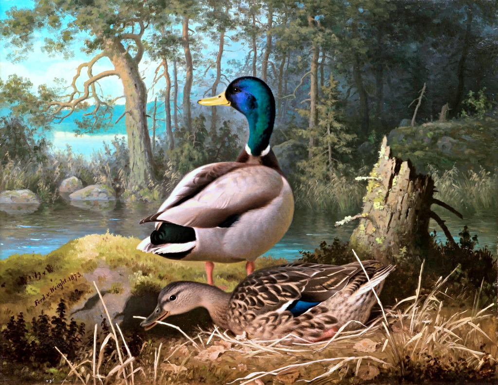 Canards par Ferdinand von Wright (1873) jigsaw puzzle in Animaux puzzles on TheJigsawPuzzles.com