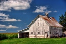 Iowa County Barns