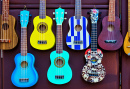 Stringed Instruments in Athens, Greece
