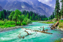 Landscape with a Mountain River