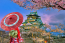 Cherry Blossoms around Osaka Castle at Dusk, Japan