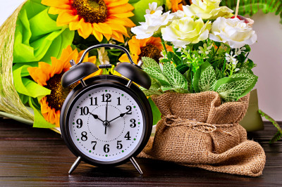 Still life with a Vintage Alarm Clock and Flowers