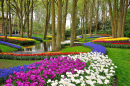 Colorful Keukenhof Park in the Netherlands
