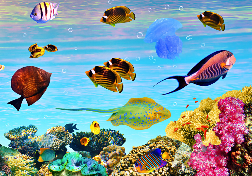 Mundo Subaquático do Mar Vermelho, Egito jigsaw puzzle in Oceano puzzles on TheJigsawPuzzles.com