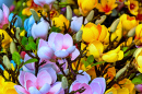 Beautiful Handmade Artificial Flowers