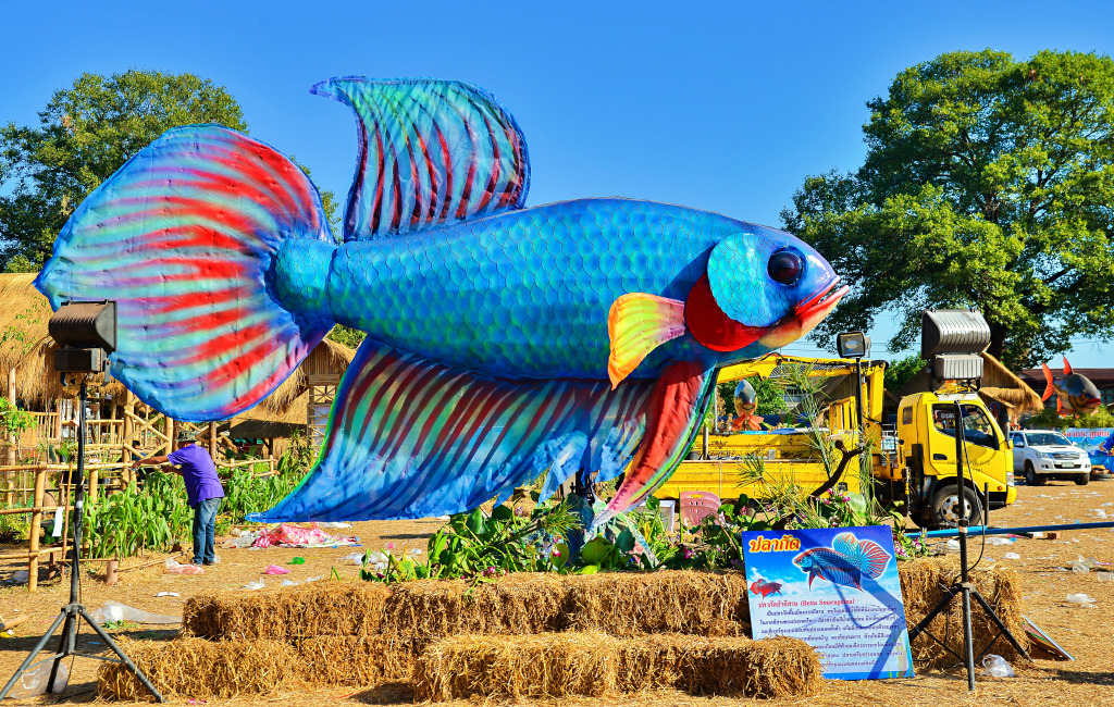 Fish Festival in Thailand jigsaw puzzle in Under the Sea puzzles on TheJigsawPuzzles.com