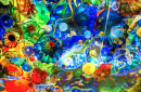 Sea Life Ceiling at the Norton Museum, FL, USA