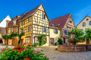 Fountain and Half-Timbered Houses in Riquewihr