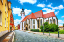 Picturesque View of Torgau, Germany