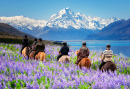 Horse Riding in Mount Cook NP, New Zealand