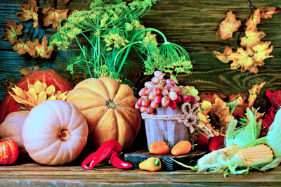 Autumn Arrangement