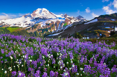View of a Spring Meadow and Snow-Capped Mountains jigsaw puzzle in ...