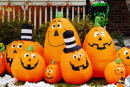 Halloween Decorations in the Yard