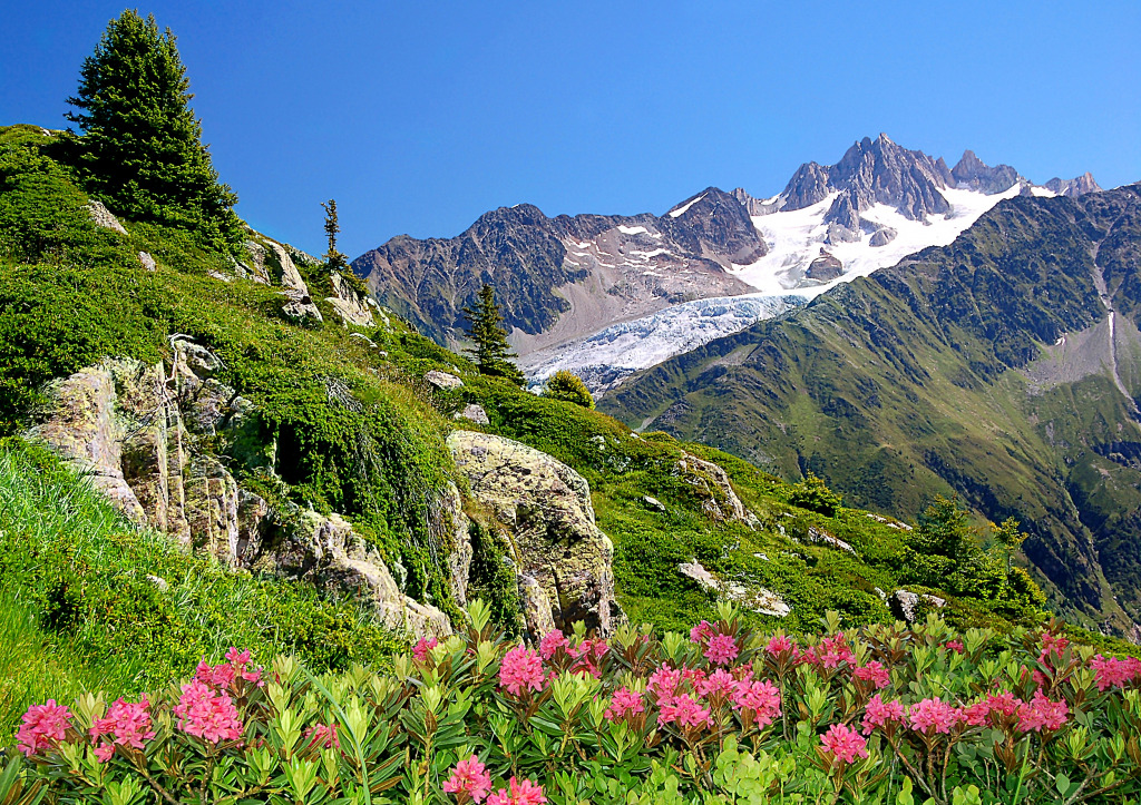 Vue des Alpes de Savoie, Europe jigsaw puzzle in Magnifiques vues puzzles on TheJigsawPuzzles.com
