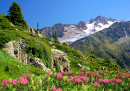 View of the Savoy Alps, Europe