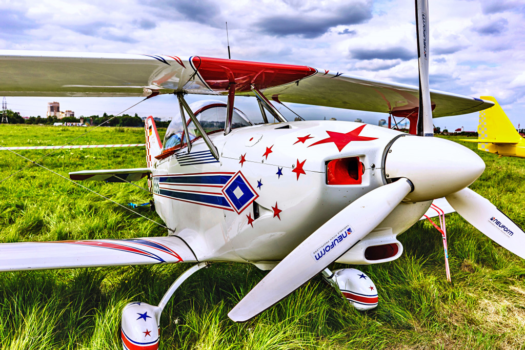Aerobatic Sporting Biplane Aviat Eagle jigsaw puzzle in Aviation puzzles on TheJigsawPuzzles.com