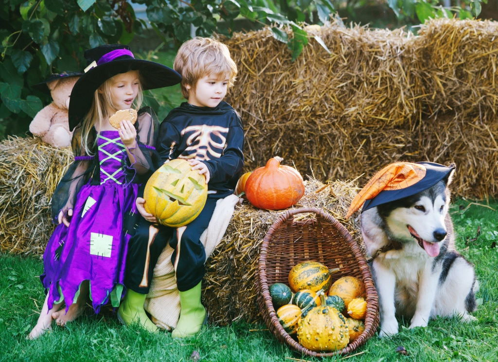 Halloween Garden Party jigsaw puzzle in Halloween puzzles on TheJigsawPuzzles.com