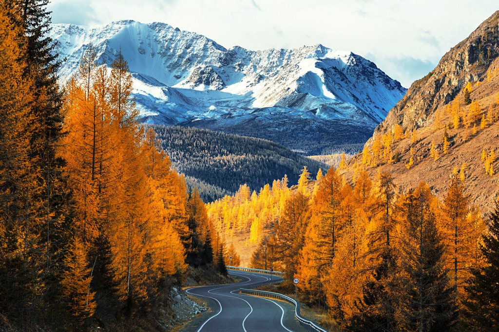 Вид на Осеннюю тайгу, Алтайская Республика, Россия jigsaw puzzle in Красивые пейзажи puzzles on TheJigsawPuzzles.com