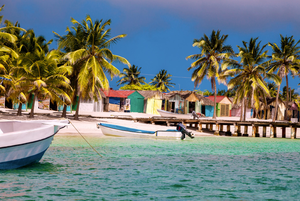 Praia Mano Juan, Ilha Saona, República Dominicana jigsaw puzzle in Lugares Maravilhosos puzzles on TheJigsawPuzzles.com
